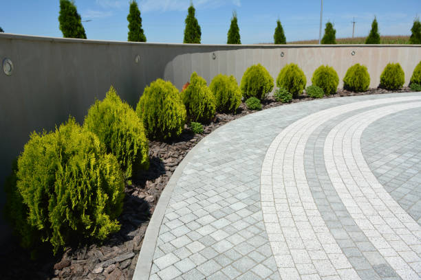 Best Driveway Paving Contractor  in Jan Phyl Village, FL